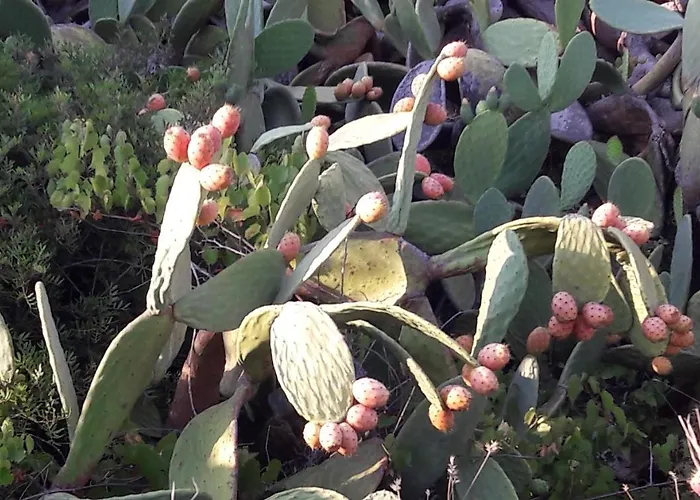 La Casetta Di Francesca