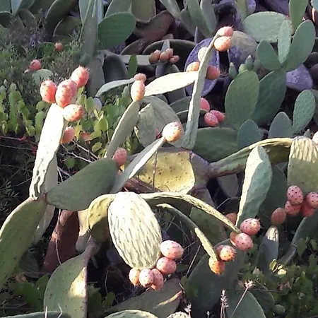 La Casetta Di Francesca